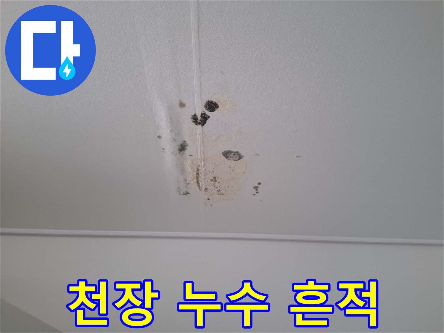 분당 봇들마을 아파트 천장에서 발생한 누수 흔적 - 곰팡이와 물 얼룩이 심각한 상태를 보여줍니다.