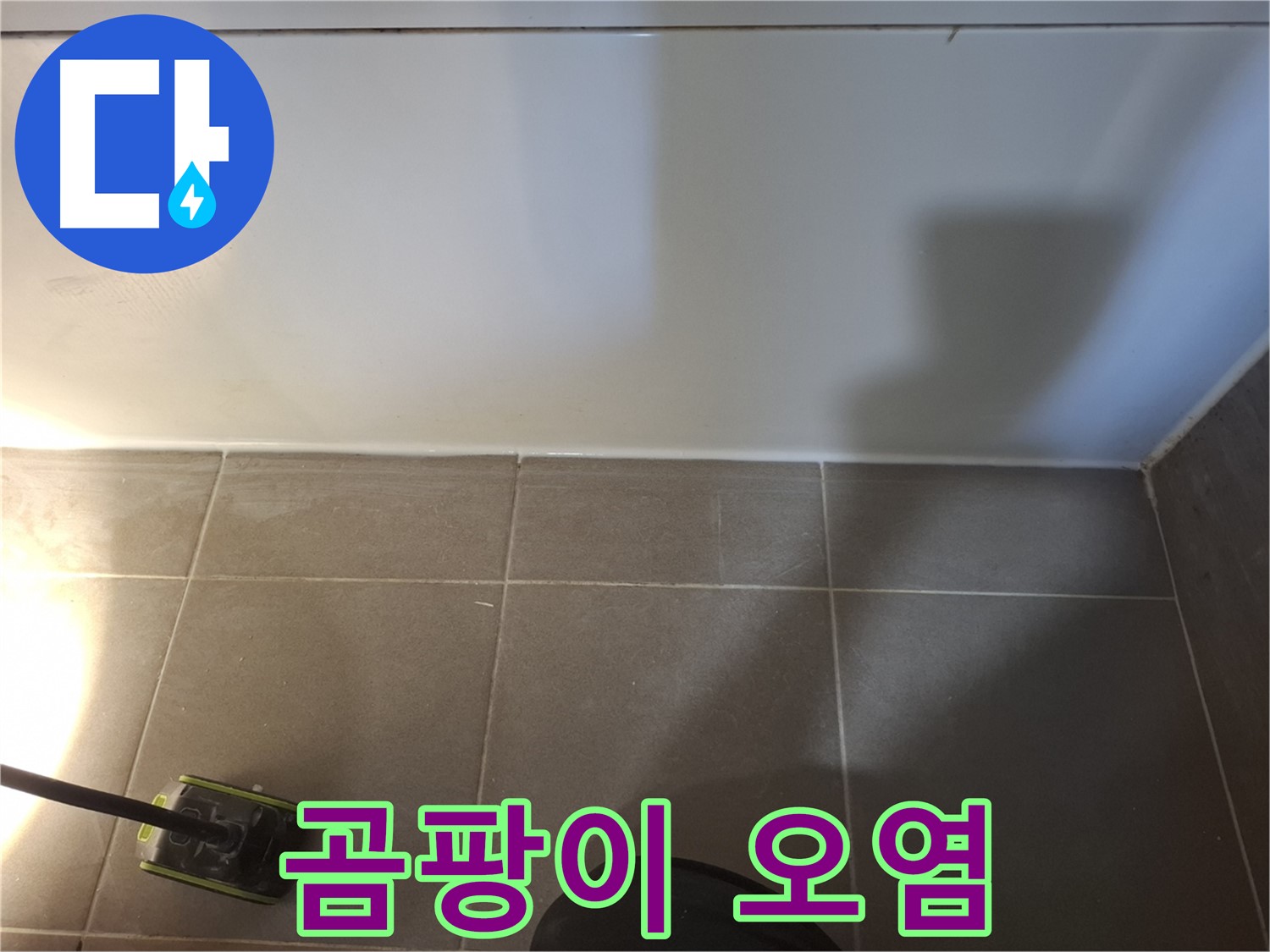 분당 봇들마을 이지더원 아파트 - 욕실 벽면 하단 타일 곰팡이 및 실리콘 오염 상태 점검