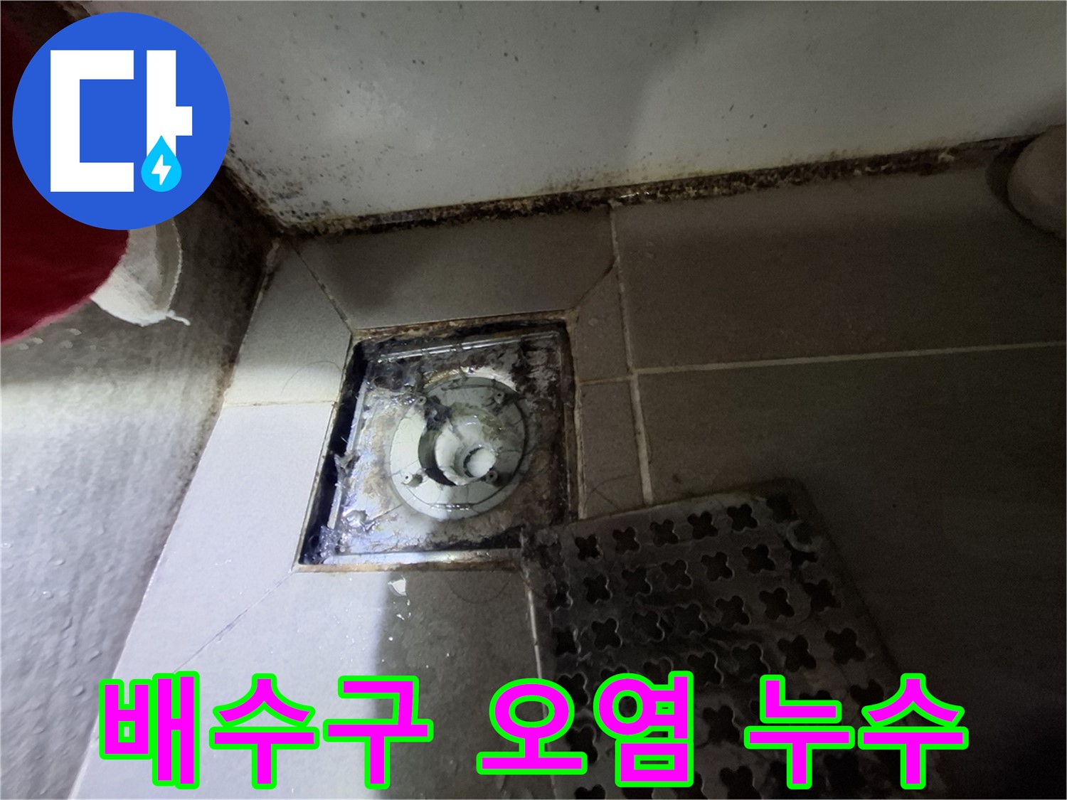 분당 봇들마을2단지 욕실 배수구 - 오염으로 인한 누수 위험 증가
