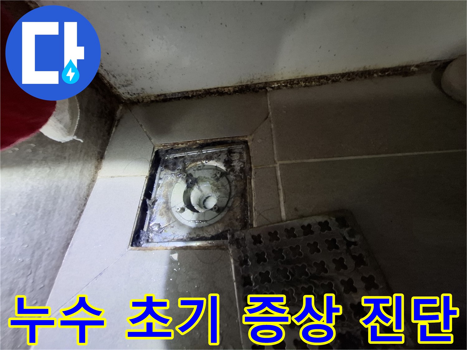 분당 봇들마을2단지 욕실 - 배수구 주변 곰팡이, 누수 초기 증상 의심