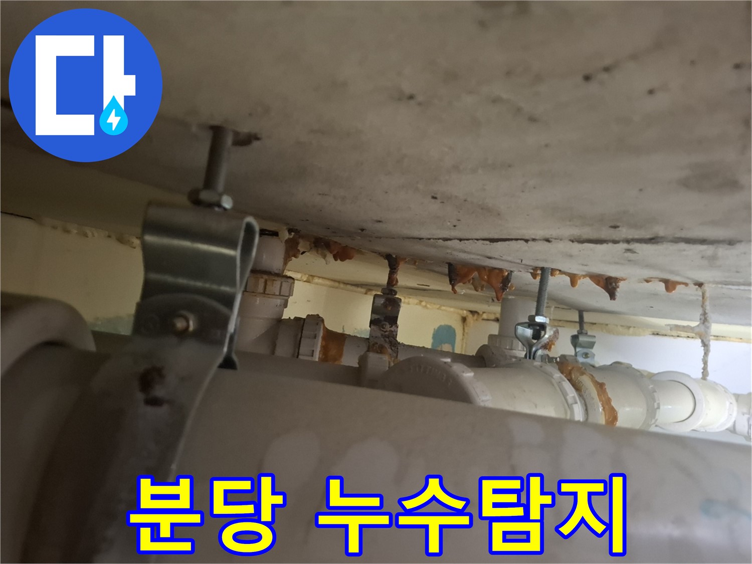 분당 삼평동 봇들마을 아파트 누수 - 누수탐지부터 완벽하게 해결해 드립니다!