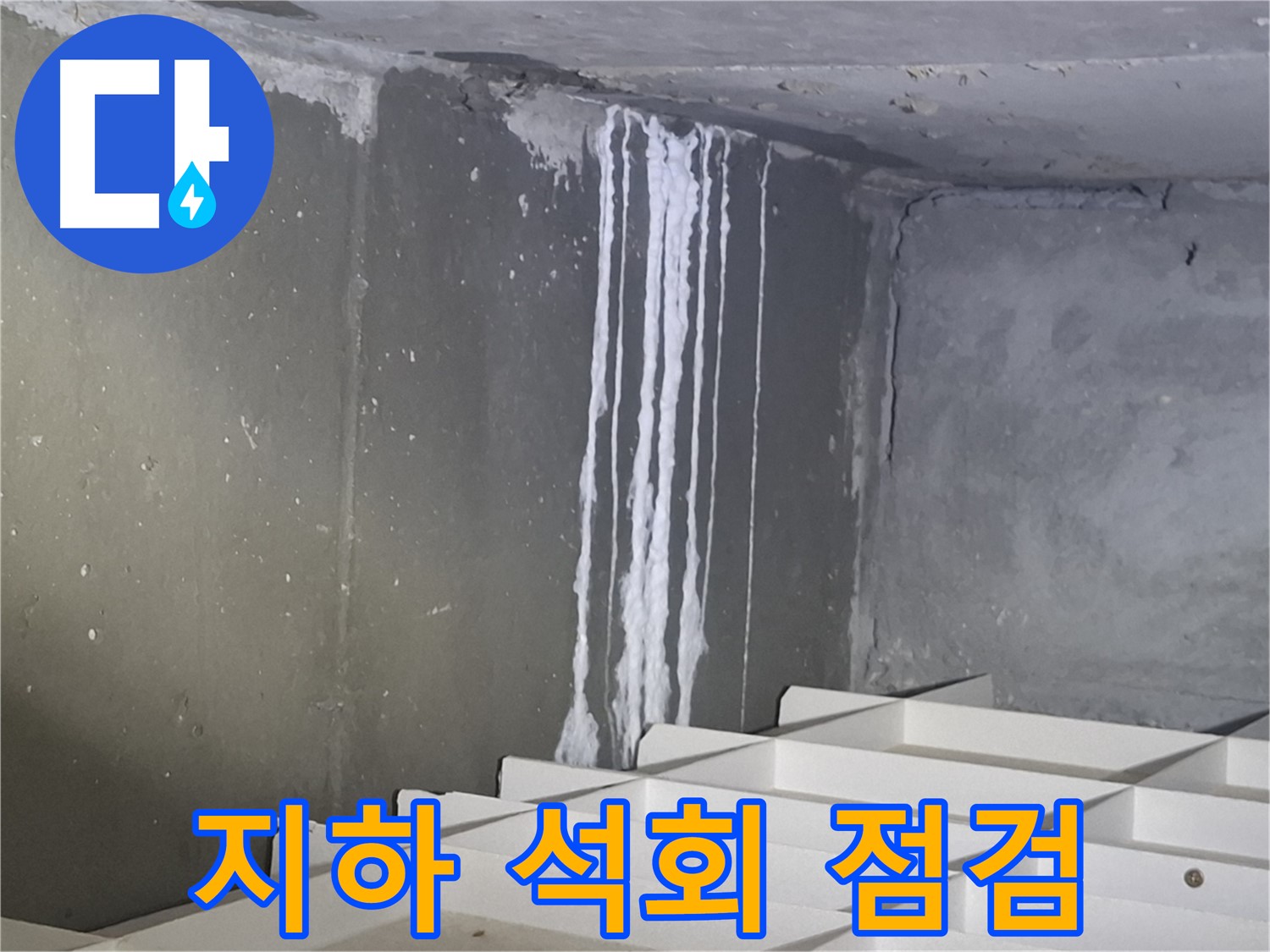 분당 삼평동 봇들마을 아파트 - 지하 석회 누수 긴급 점검