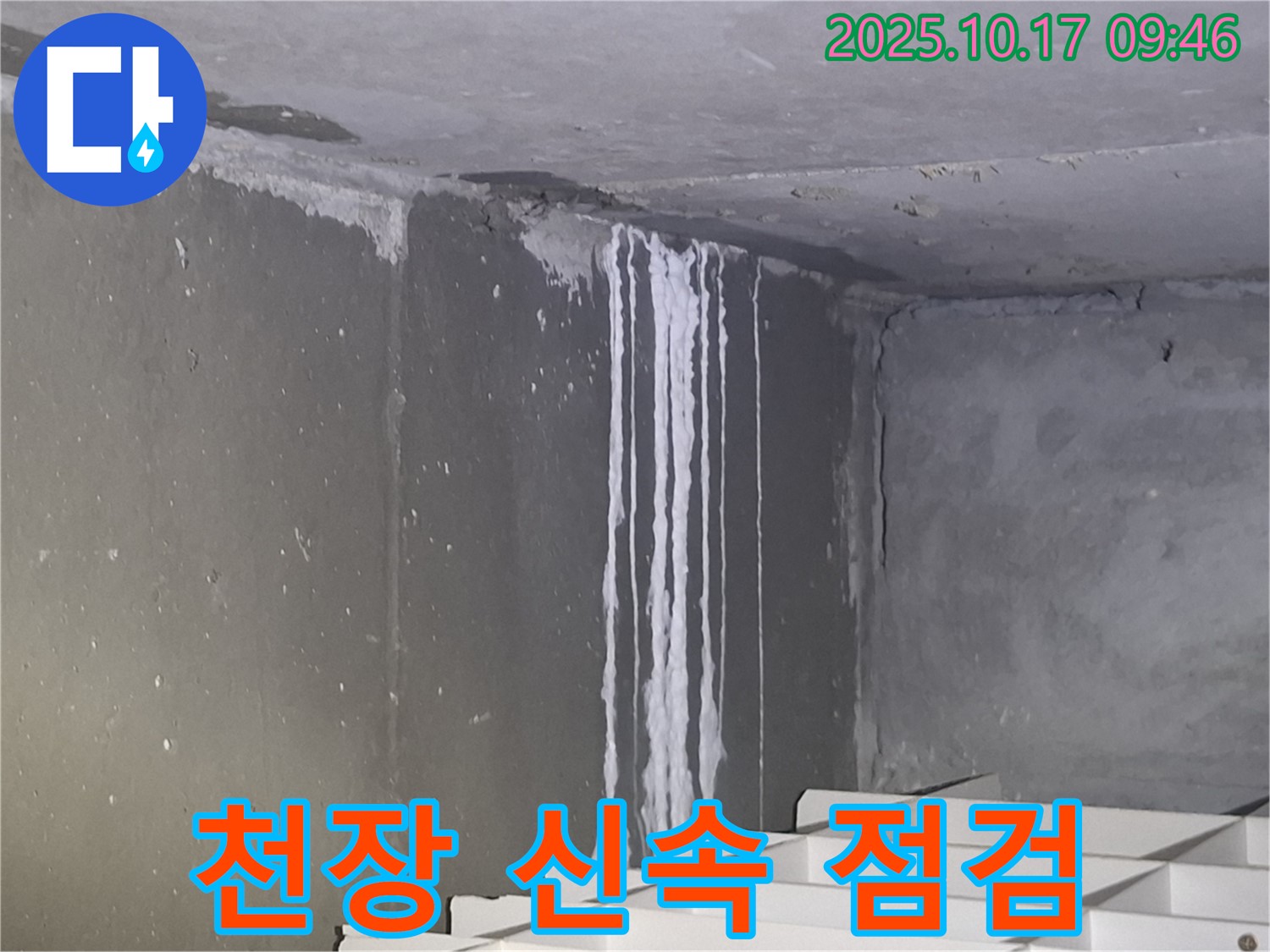 분당 삼평동 봇들마을2단지 아파트 계단실 천장 누수 - 신속한 점검으로 누수 문제를 해결하기 위해 최선을 다하고 있습니다.