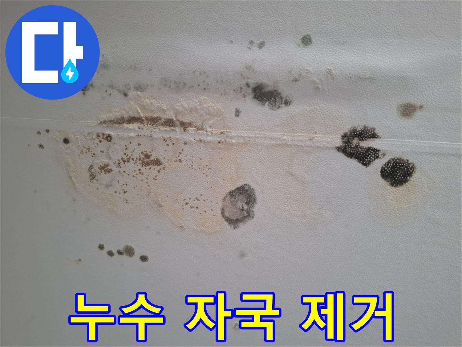 분당 삼평동 아파트 누수 - 곰팡이와 누수 자국 긴급 제거 작업