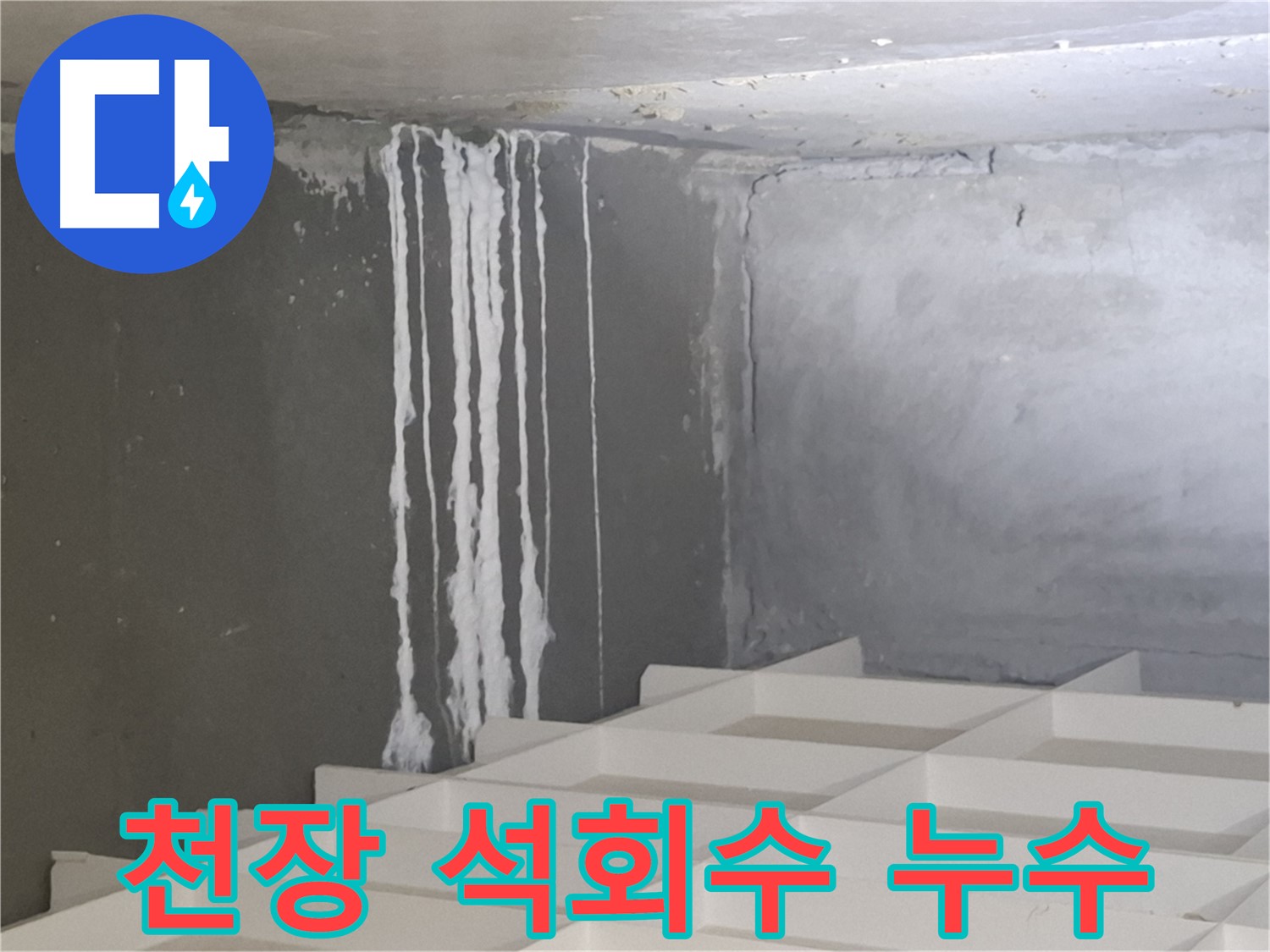 분당 삼평동 아파트 천장 누수 - 석회수 발생, 건물 손상으로 이어질 수 있는 심각한 문제