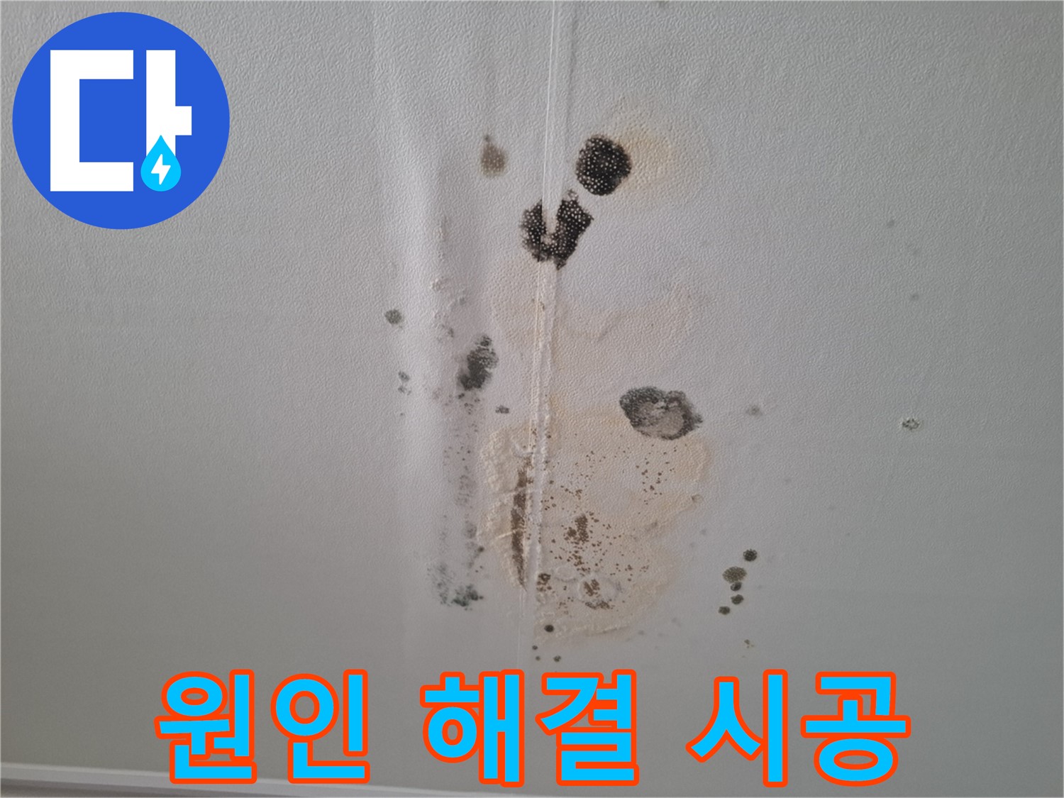 분당 아파트 누수 - 곰팡이 문제 원인부터 해결까지 책임 시공