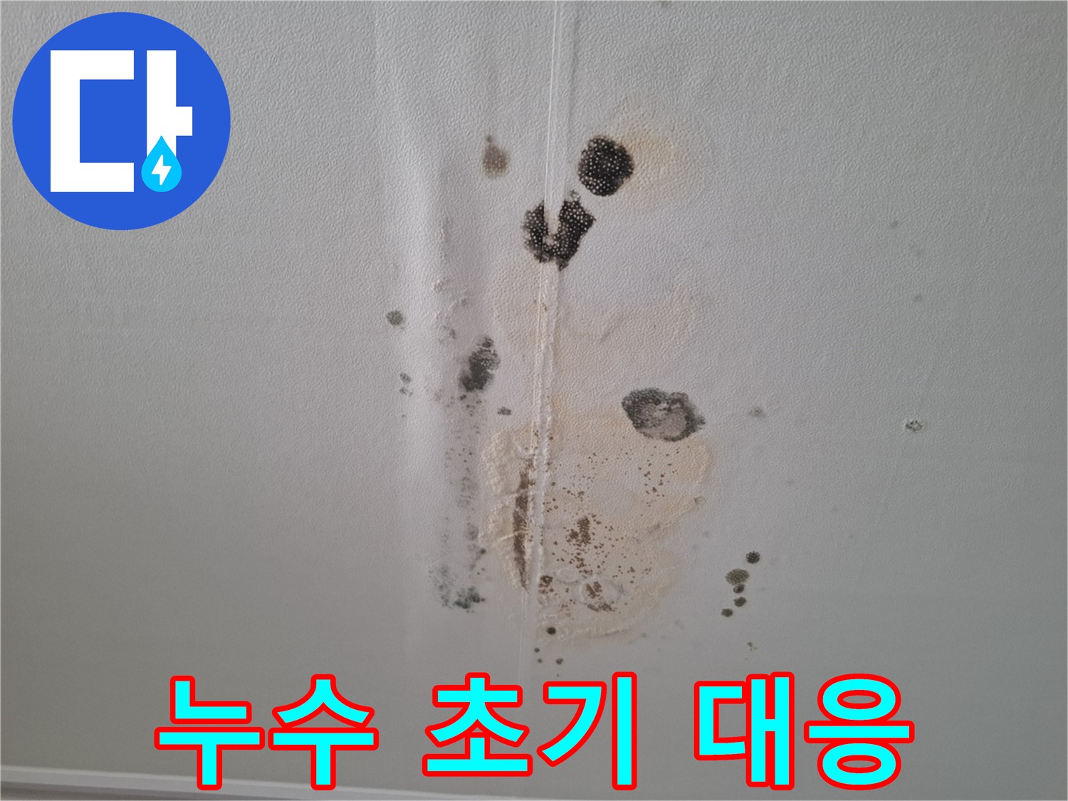 분당 아파트 누수 - 누수 초기 대응의 중요성 강조