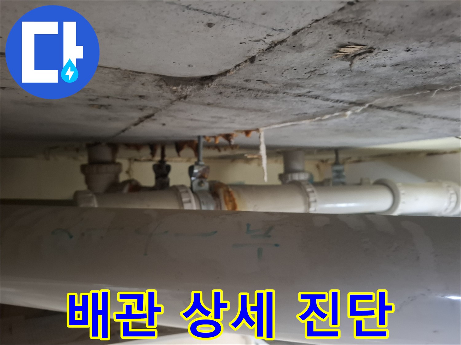 분당 정든마을 아파트 - 점검구 내부 배관 상태 상세 진단 및 맞춤 조치