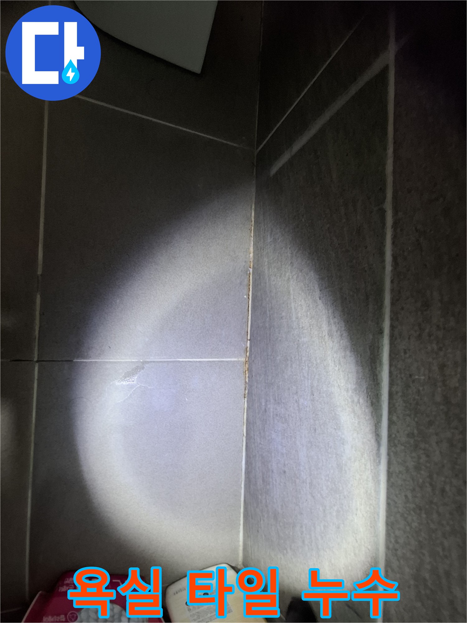 분당 판교 봇들마을 아파트 욕실 타일 누수 - 누수 원인 진단 및 해결 과정