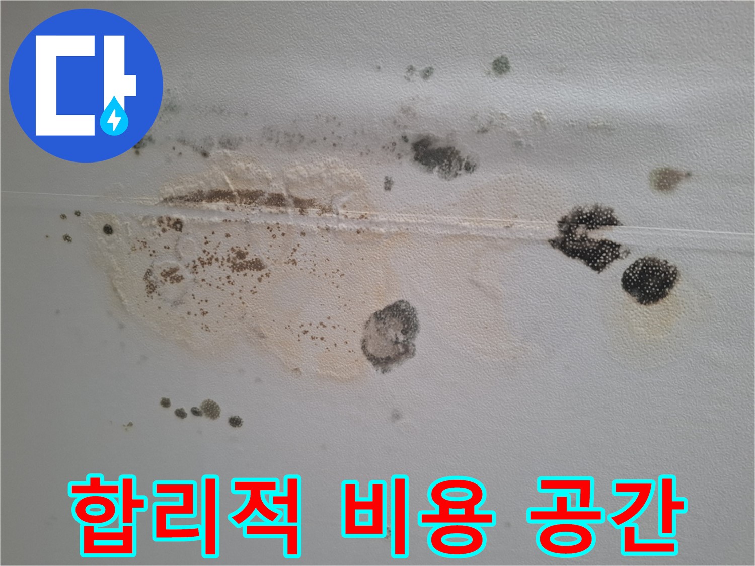 분당구 삼평동 누수 - 곰팡이 핀 천장, 합리적인 비용으로 쾌적한 공간을 만들어 드립니다