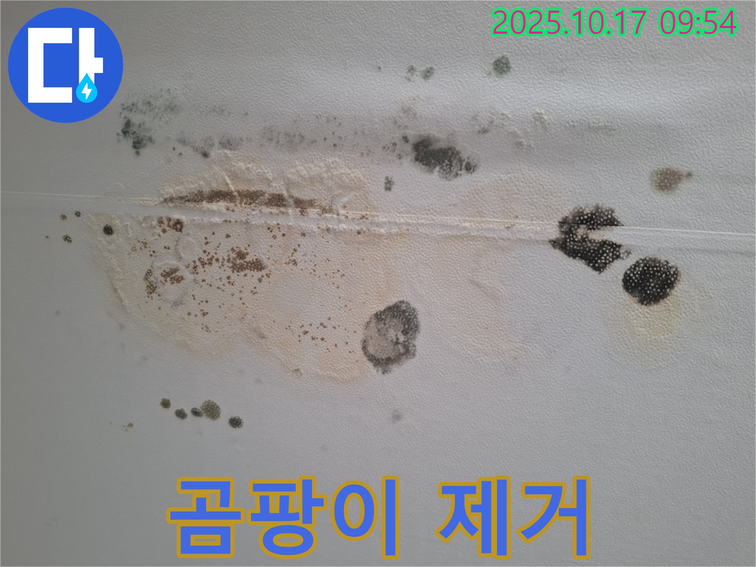 분당구 삼평동 봇들마을 아파트 천장 누수 곰팡이 제거 작업 - 깨끗하고 안전하게 곰팡이 제거