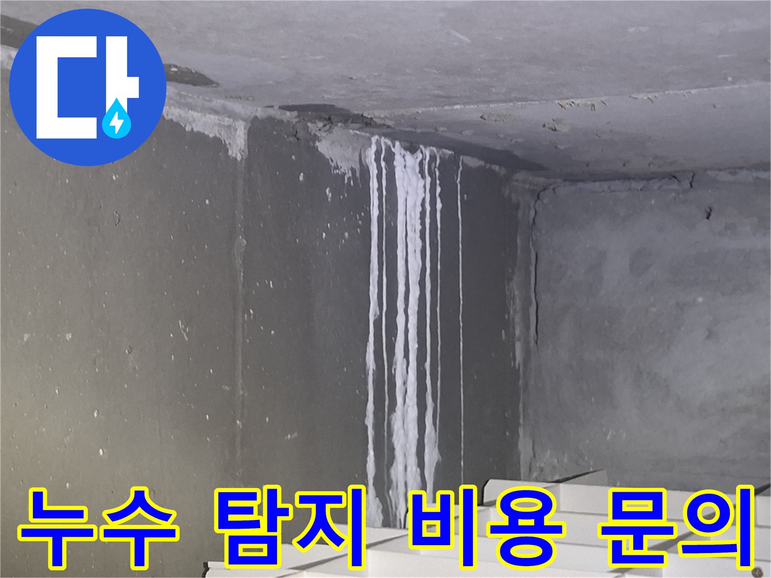 삼평동 건물 계단 벽 누수 - 누수 탐지 비용 문의 환영