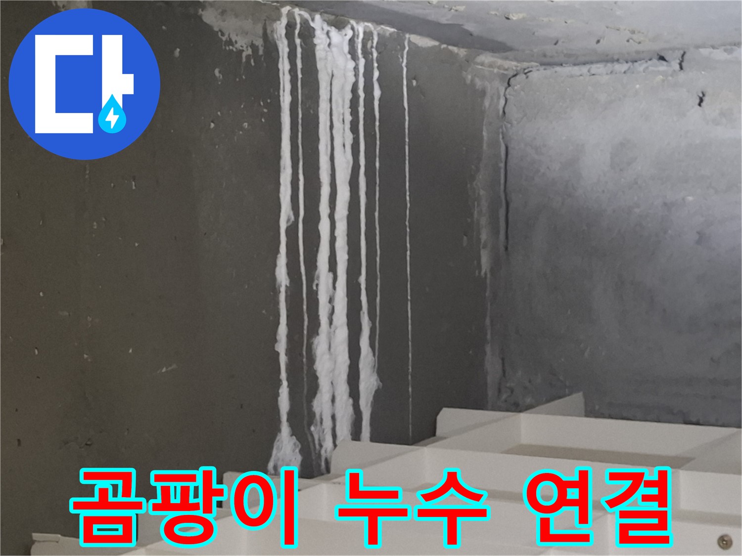 삼평동 누수 현장 - 곰팡이와 백화현상이 누수로 인해 발생한 연결고리를 보여주는 이미지입니다.