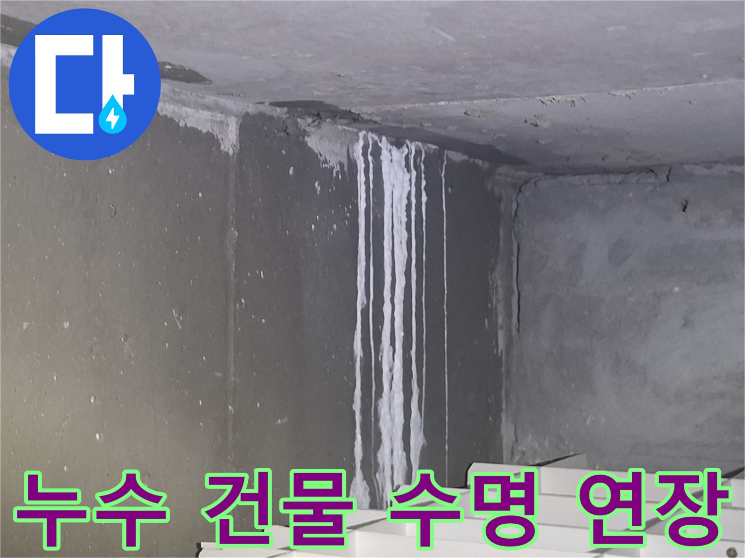 성남 건물 계단 벽 누수 - 건물 수명 연장, 우리가 책임