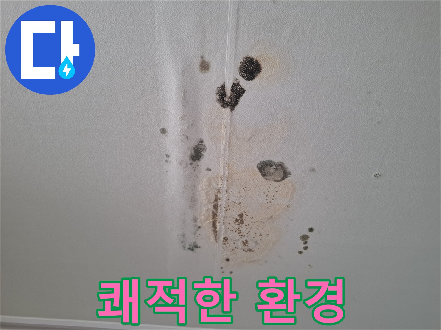 성남 누수 - 곰팡이 문제 해결, 쾌적한 환경을 위한 최고의 선택