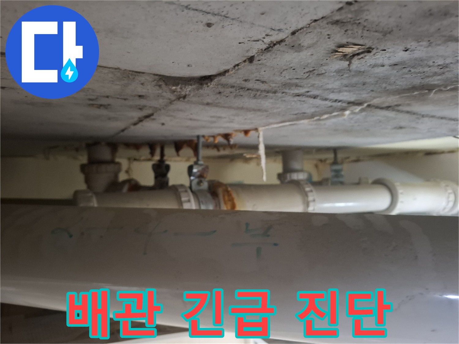 성남 분당구 봇들마을 아파트 - 배관 누수 긴급 진단 및 조치 진행