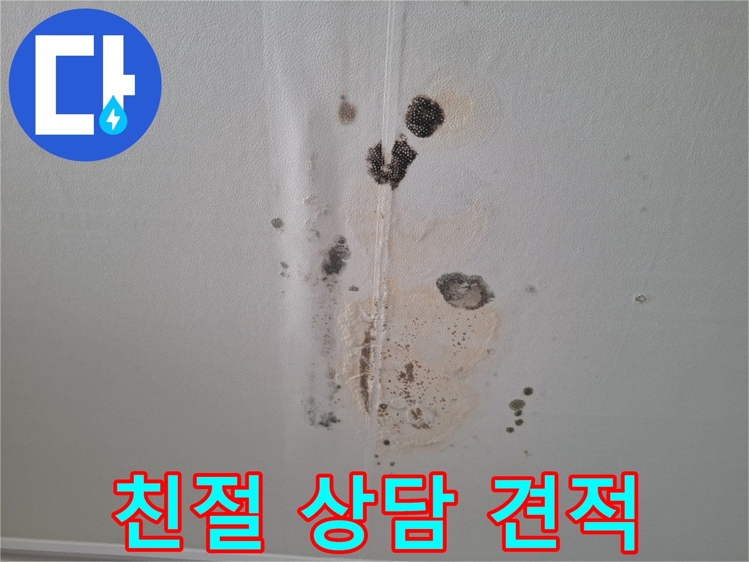 성남 누수 - 친절한 상담과 합리적인 견적으로 곰팡이 문제 해결