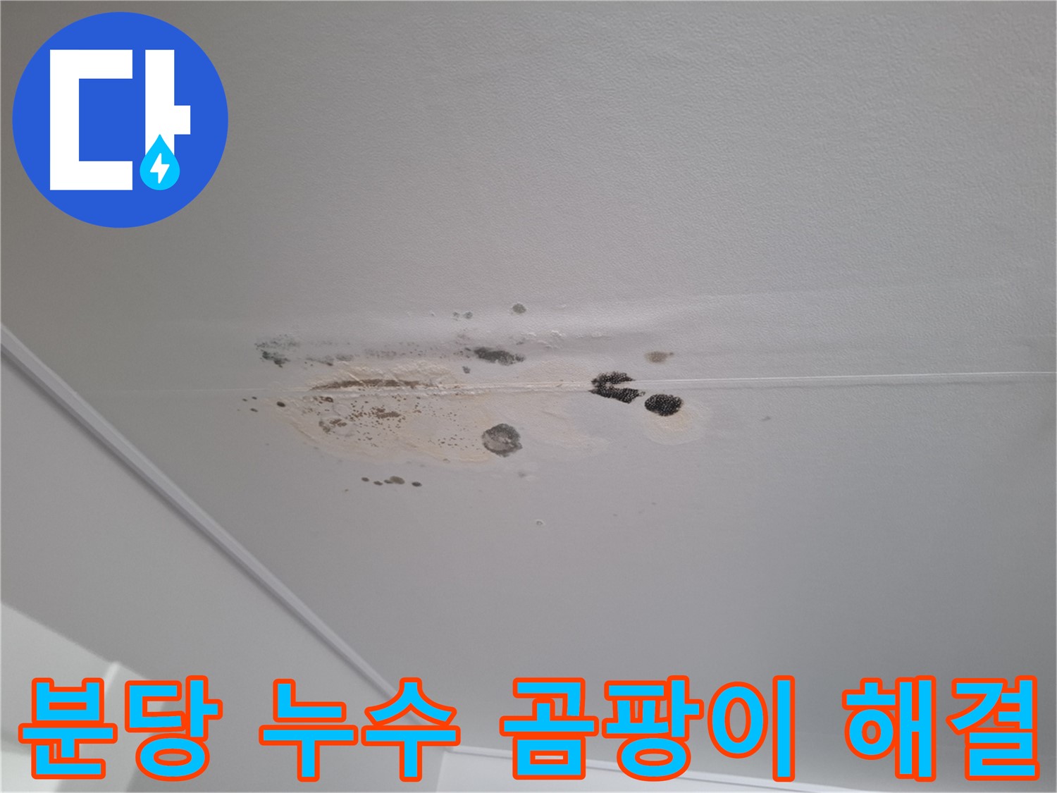누수 곰팡이 해결 - 쾌적한 공간으로 변신시켜 드립니다