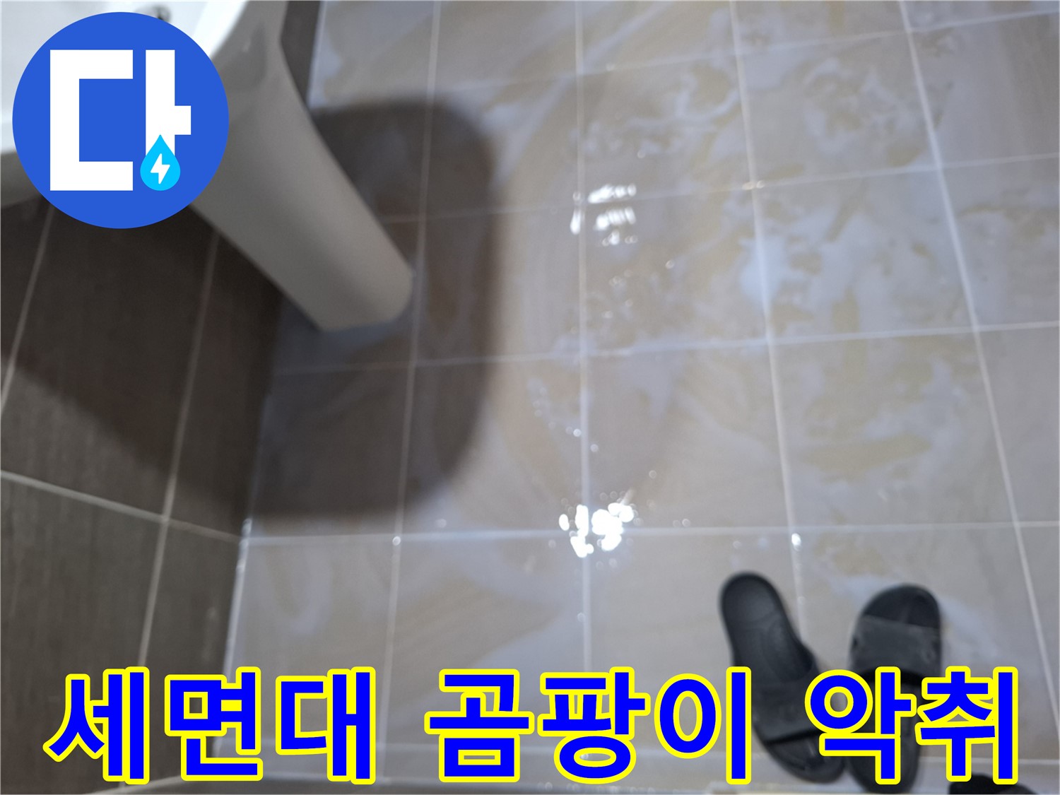 성남 봇들마을 세면대 누수 - 곰팡이와 악취가 심각한 세면대 누수 현장