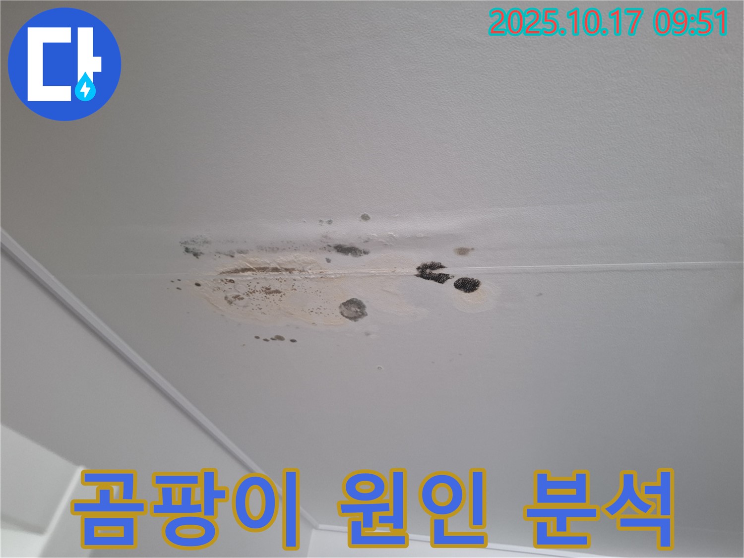성남 분당 누수 - 곰팡이 얼룩 심한 천장 - 누수 원인 정밀 분석