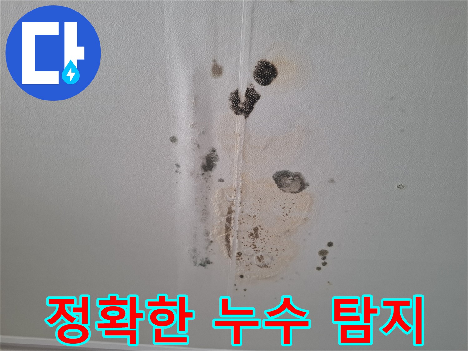 성남 분당 봇들마을2단지 누수 - 첨단 장비로 정확한 누수 탐지