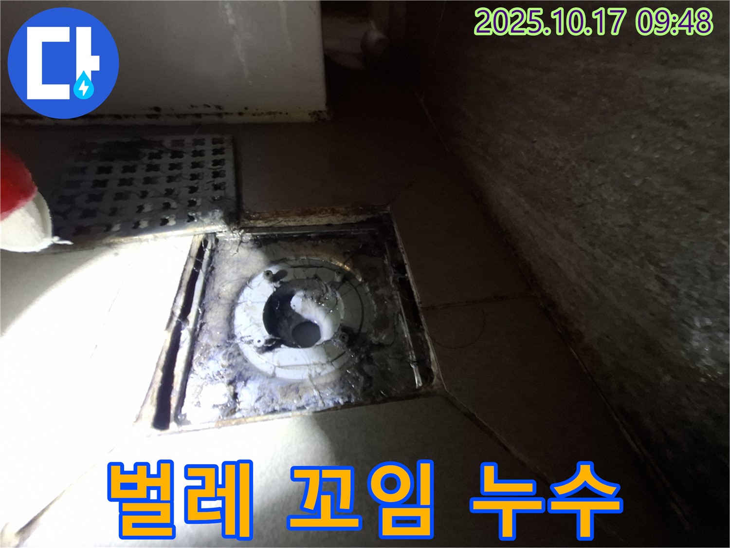 성남 분당 삼평동 봇들마을 아파트 욕실 배수구 주변 벌레 꼬임 현상 - 누수 가능성을 진단하고 위생 문제를 해결합니다.