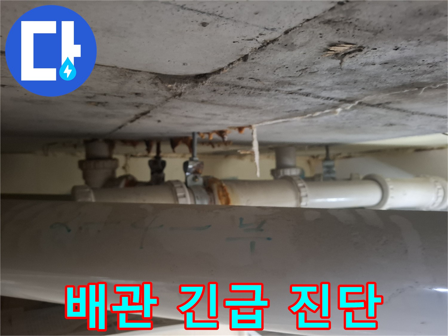 성남 분당구 봇들마을 아파트 - 배관 누수 긴급 진단 및 조치 진행