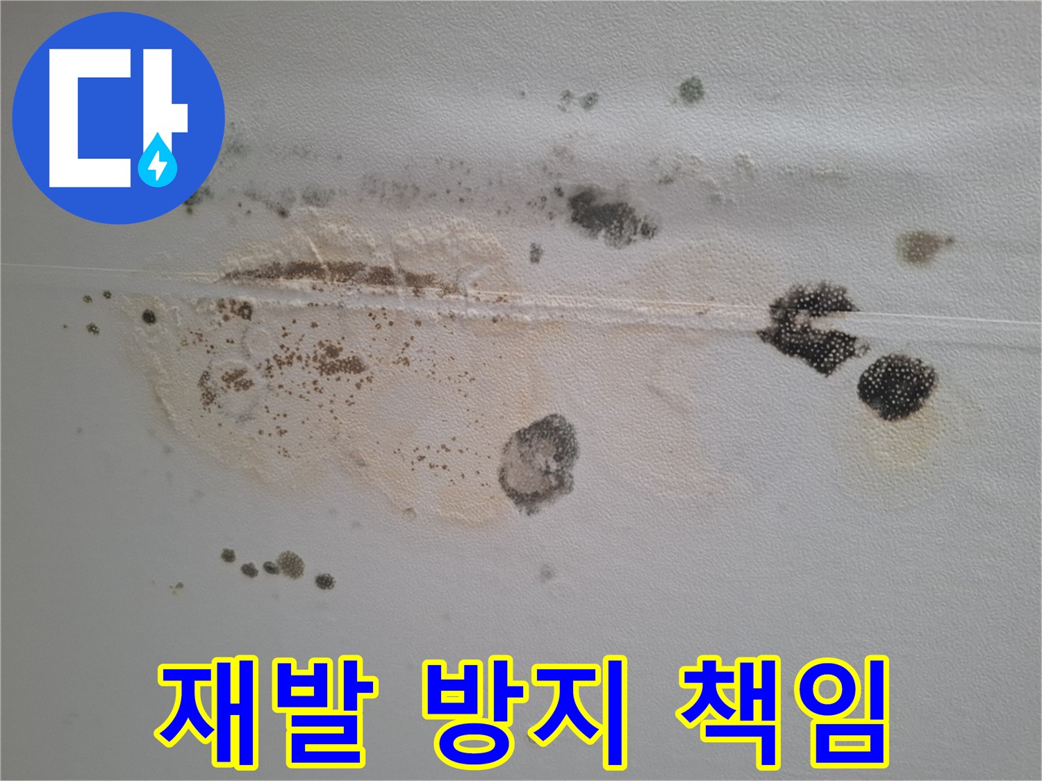 성남 삼평동 누수 - 곰팡이 천장 완벽 제거 후 재발 방지까지 책임 시공