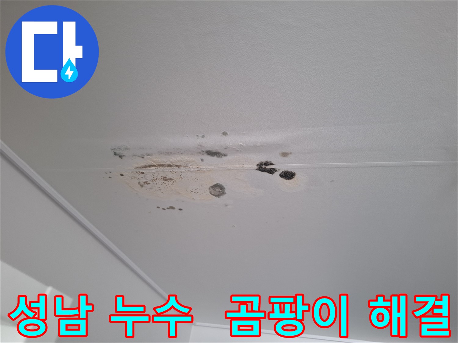 성남 아파트 천장 누수로 인한 곰팡이 발생 - 원인 분석 및 해결 과정
