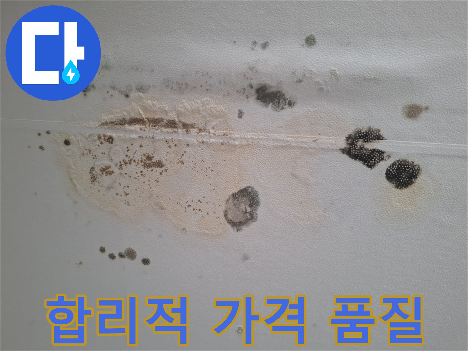 성남시 분당구 삼평동 곰팡이 누수 - 합리적인 가격과 완벽한 품질