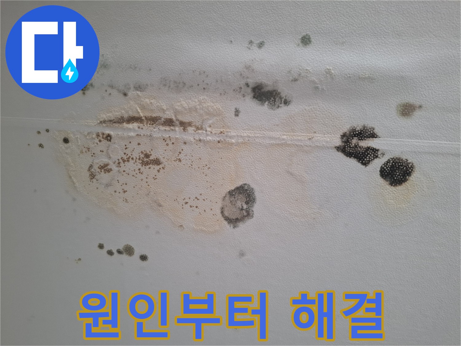 성남시 분당구 삼평동 누수 - 곰팡이 핀 천장, 원인부터 잡는 확실한 해결을 약속드립니다