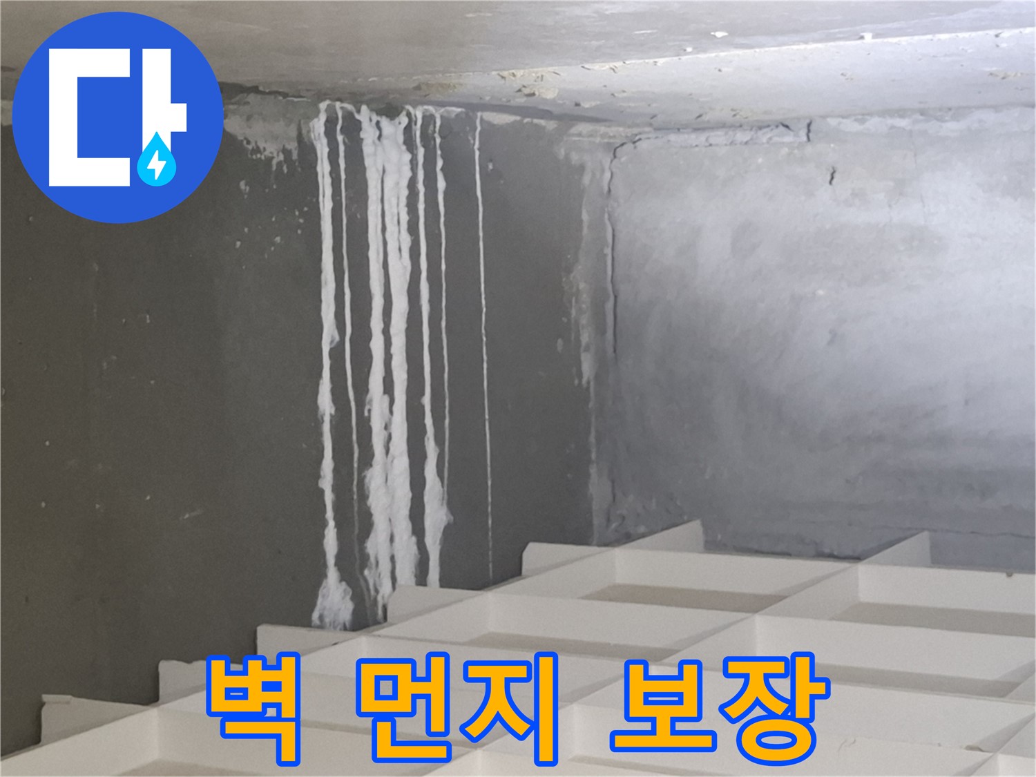 성남시 분당구 삼평동 누수 - 벽에 맺힌 하얀 먼지 누수 문제, 확실한 해결을 보장하는 전문 업체