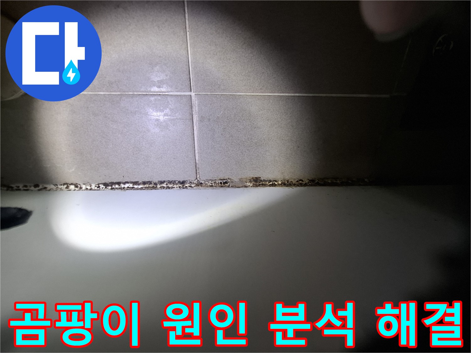 욕조 곰팡이 - 곰팡이 원인 정밀 분석 및 맞춤 해결