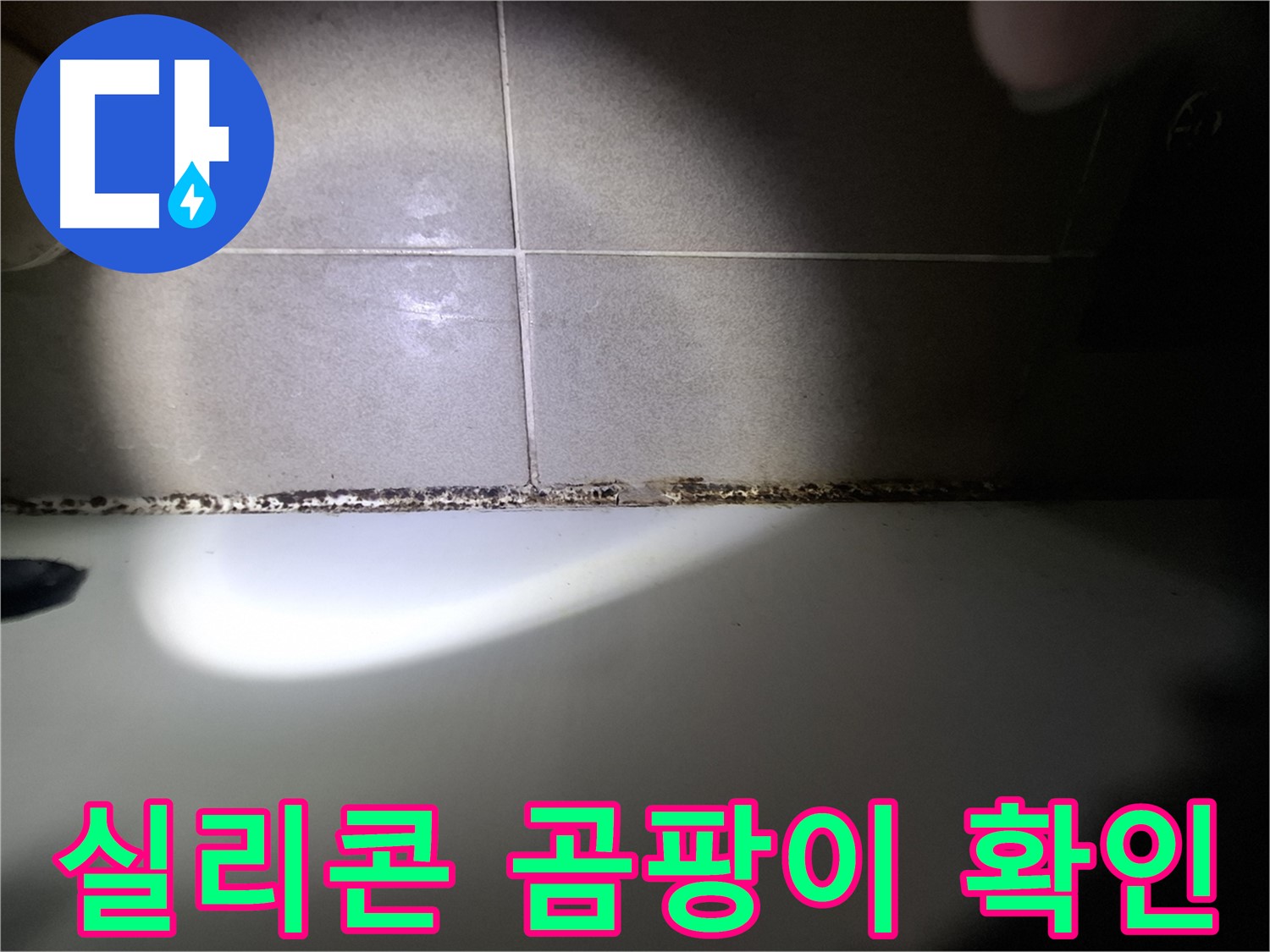 욕조 실리콘 곰팡이 - 상태 확인 - 누수 의심