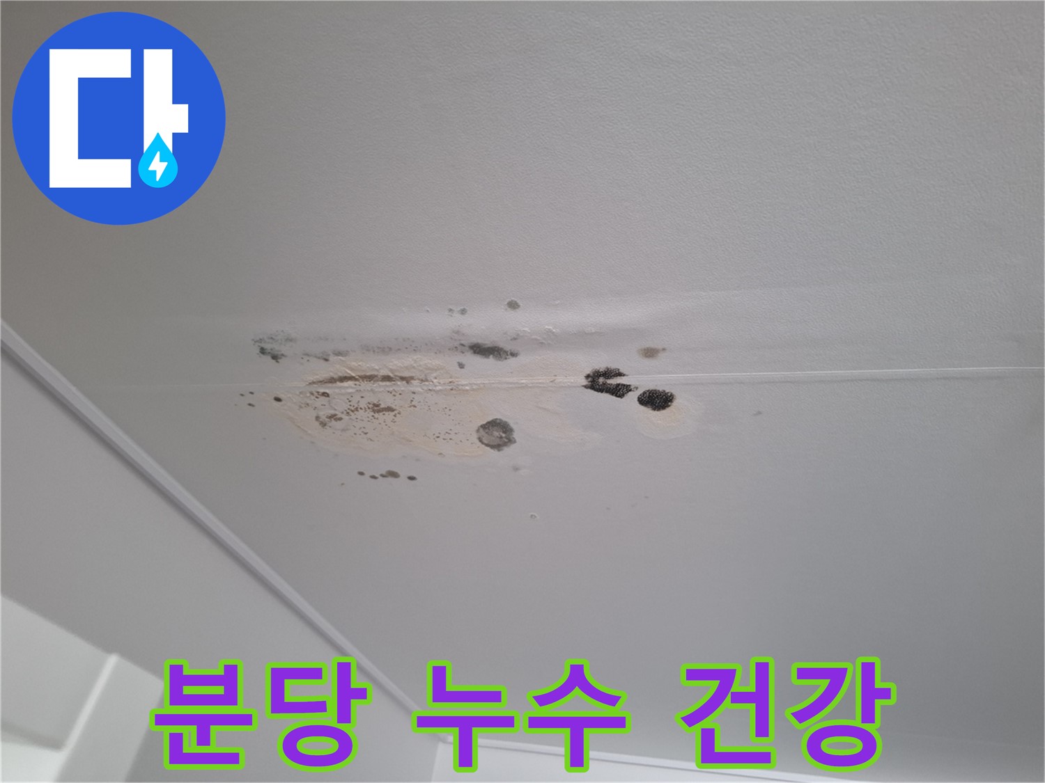 천장 누수 - 곰팡이, 가족 건강을 위협합니다!