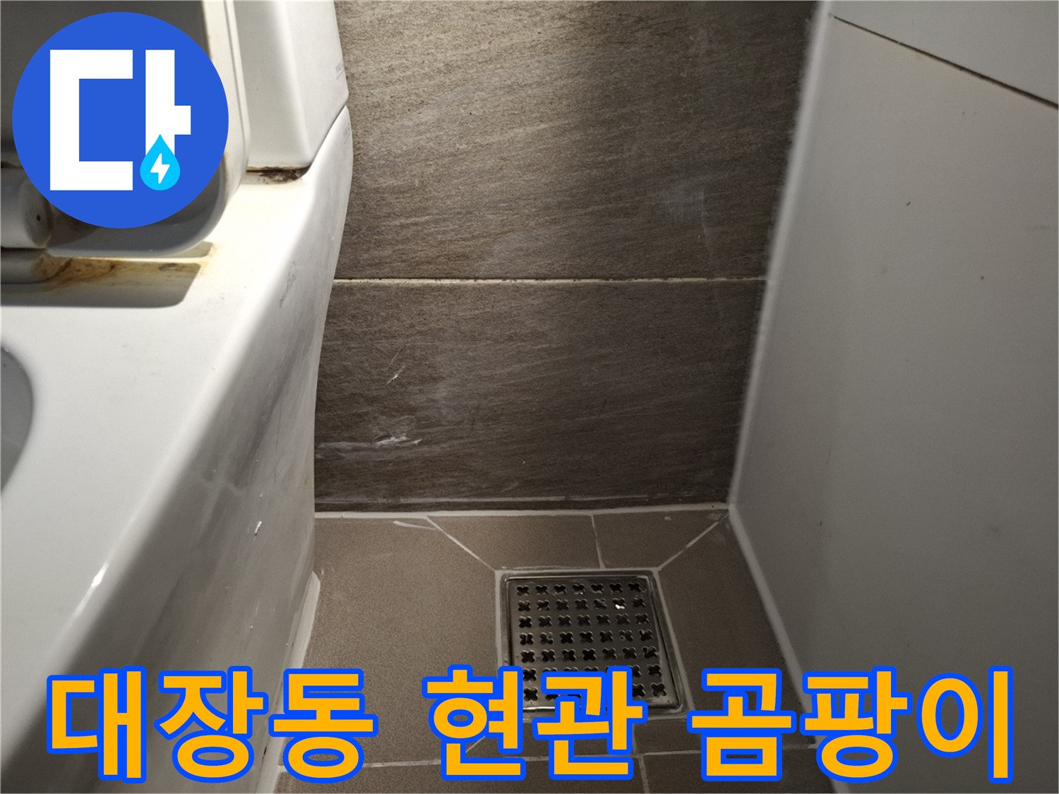 판교 대장동 현관문 주변 벽 곰팡이 - 빗물 누수?