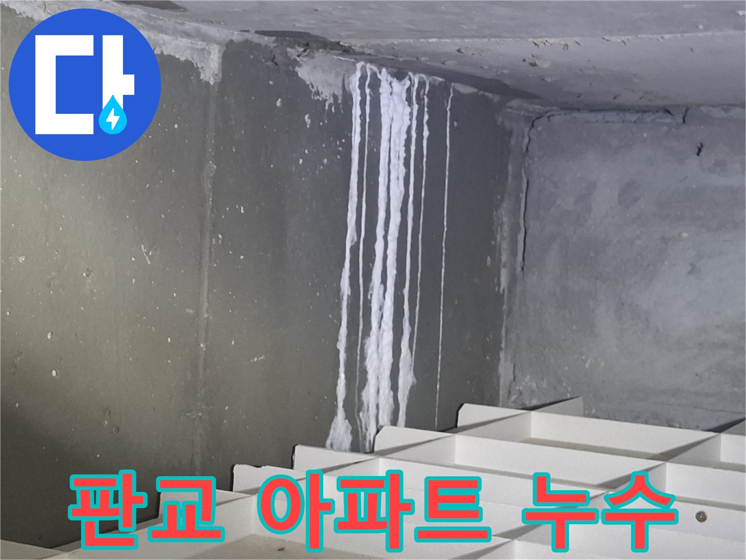 판교 봇들마을 아파트 누수 - 누수 전문가의 정확한 진단과 시공