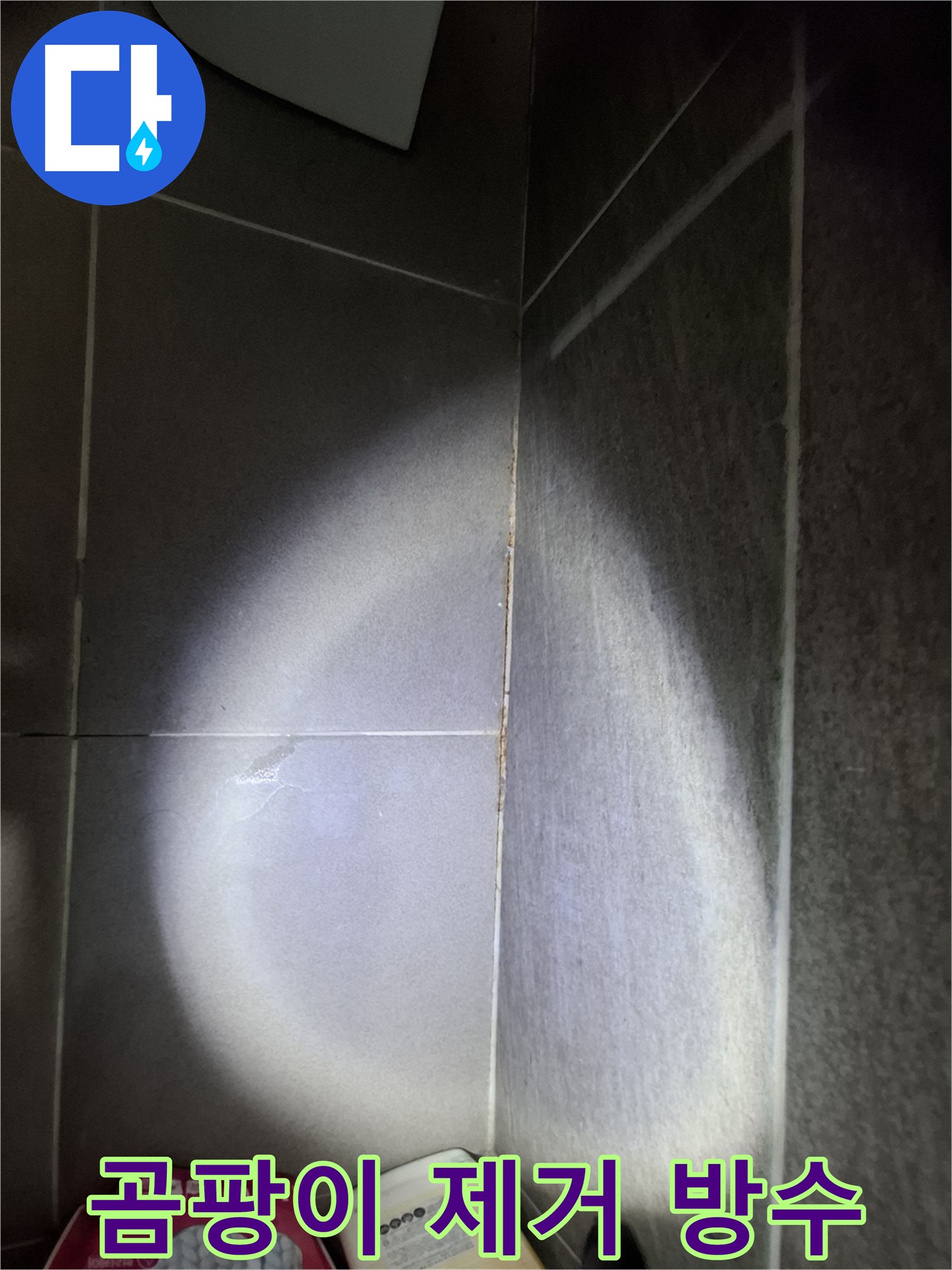 판교 봇들마을 욕실 타일 틈새 누수 - 곰팡이 제거부터 방수 시공까지 한 번에 해결