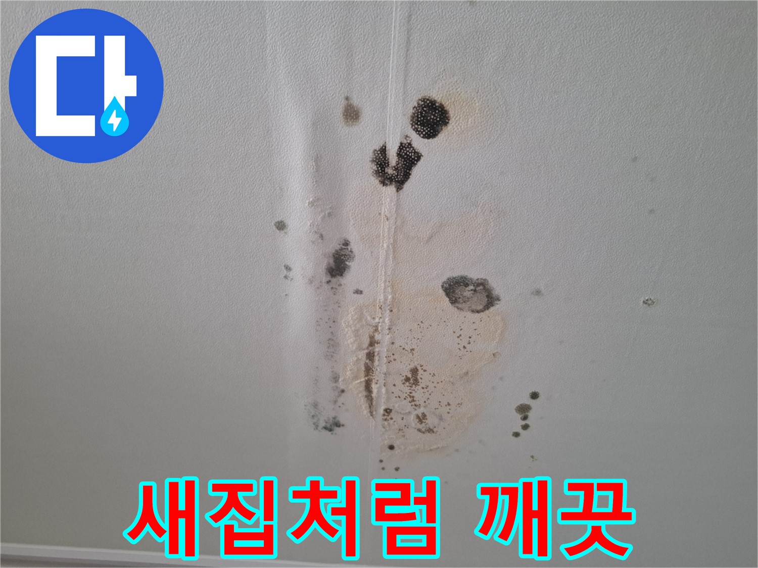 판교 삼평동 누수 - 곰팡이 제거 후 새집처럼 깨끗하게