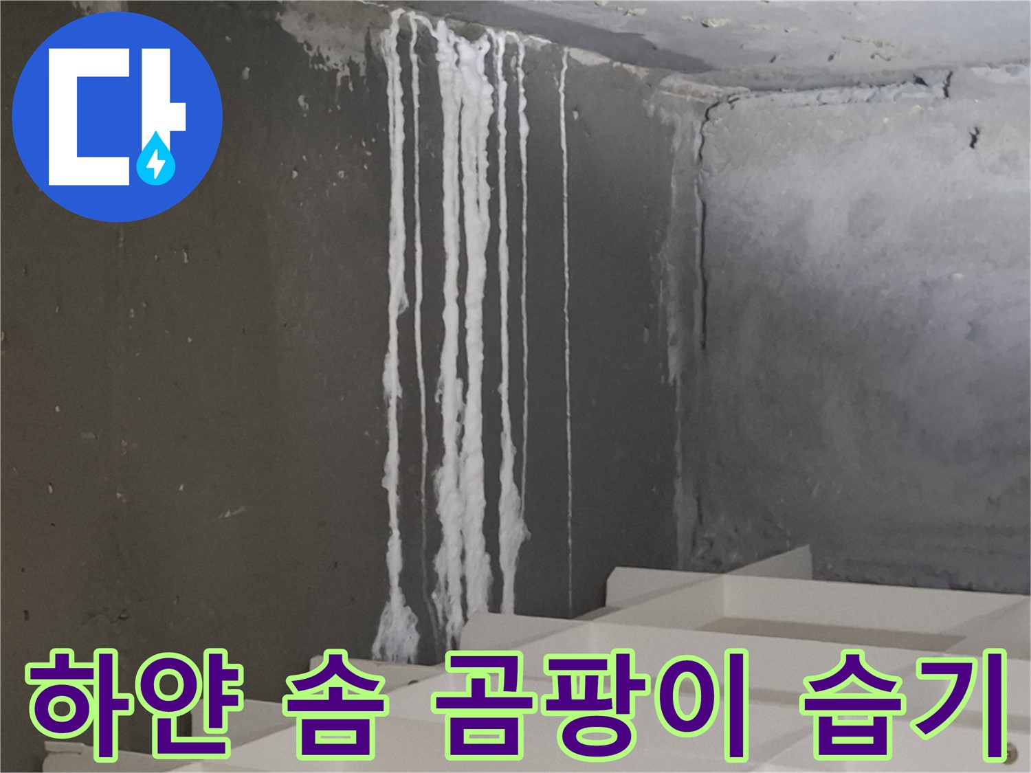 판교 삼평동 봇들마을 아파트 - 계단 '하얀 솜' 누수, 곰팡이와 습기 문제를 유발할 수 있습니다.