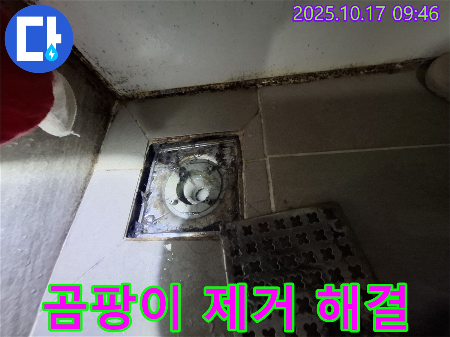 판교 삼평동 봇들마을 아파트 욕실 배수구 곰팡이 제거 - 누수 완벽 해결 - 쾌적한 욕실 환경을 만들어 드립니다.