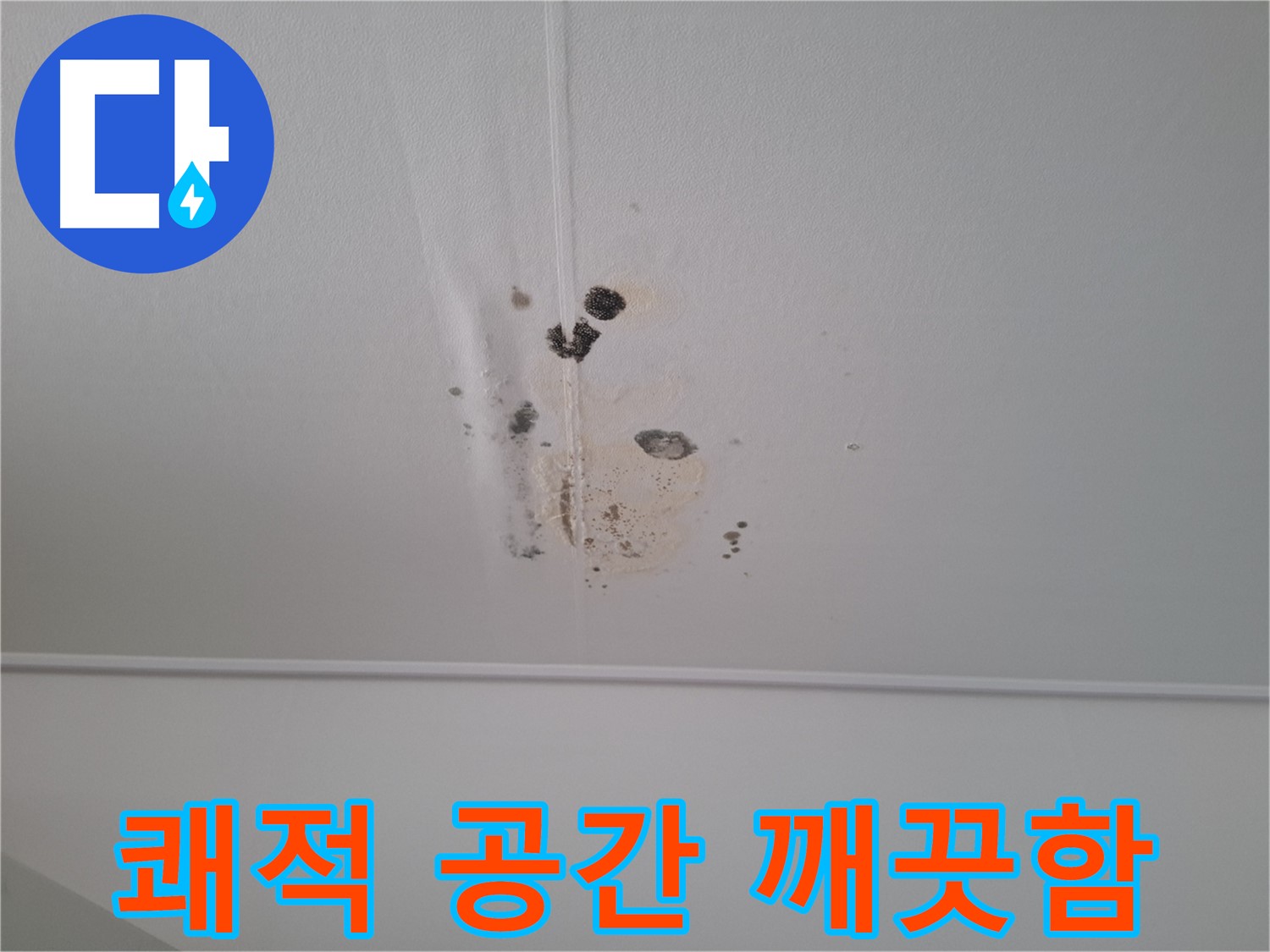판교 삼평동 봇들마을2단지 아파트 - 쾌적한 공간을 만들어 드립니다 - 곰팡이 없는 깨끗한 환경에서 생활하세요.