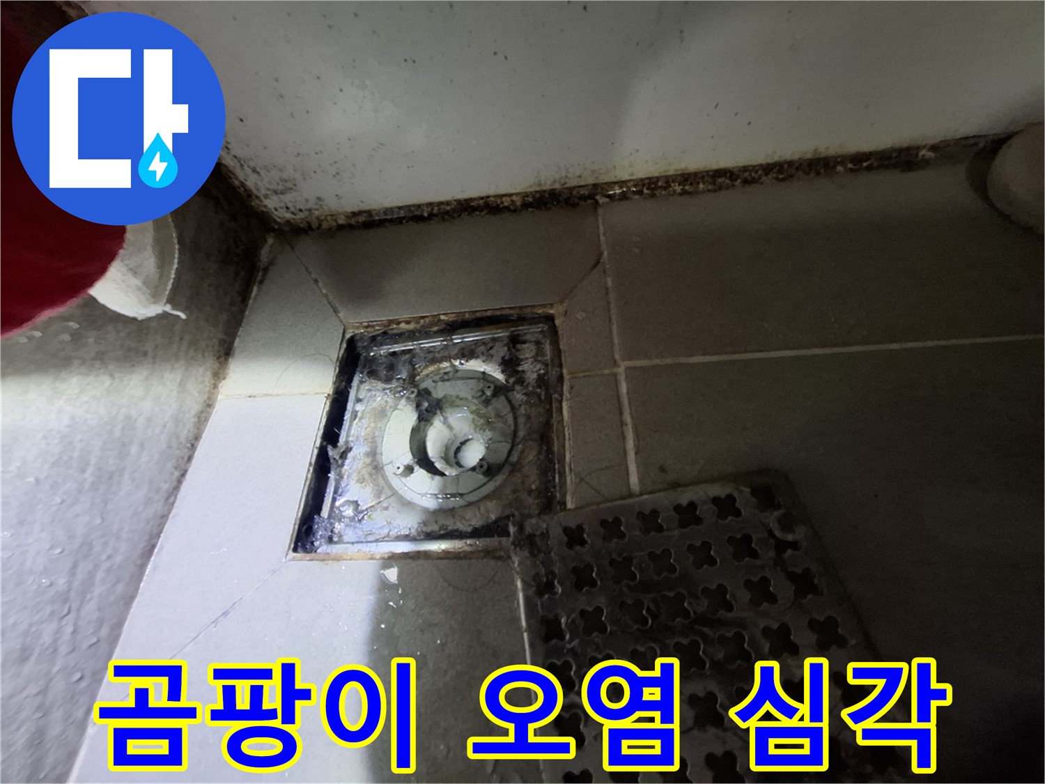 판교 삼평동 봇들마을2단지 욕실 - 곰팡이 오염 심각 - 긴급 점검 필요