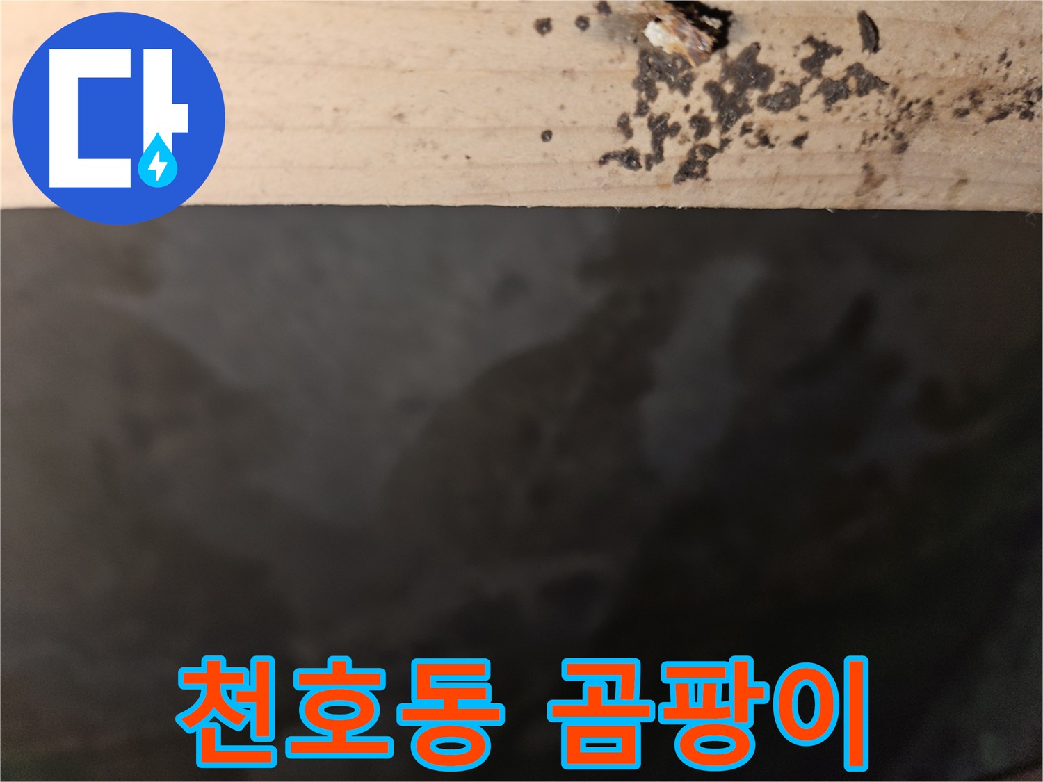강동구 천호동 누수 - 곰팡이 해결 전문가 - 쾌적한 환경