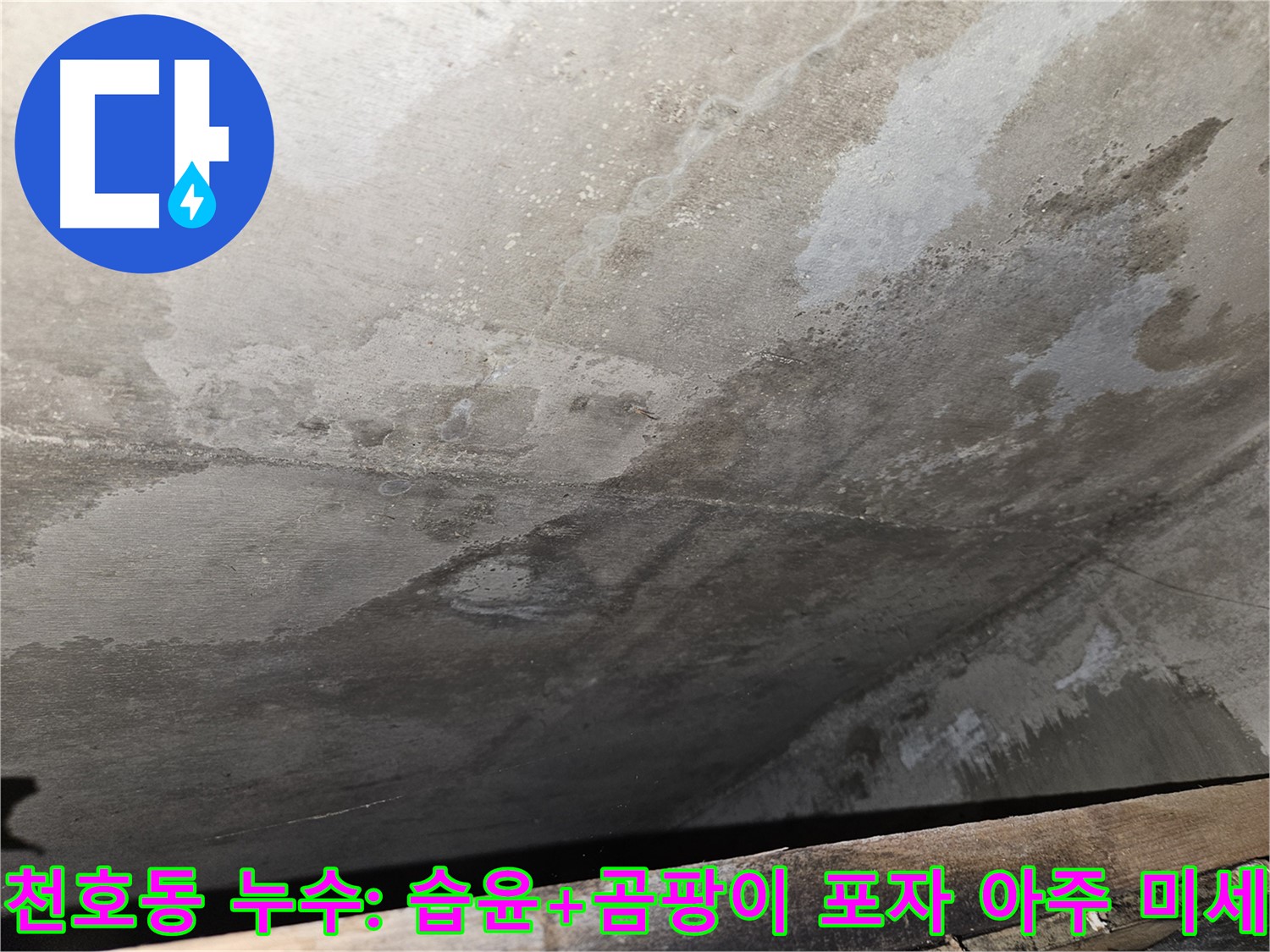 강동구 천호동 콘크리트 누수 - 습윤, 곰팡이 포자 아주 미세 확산은 초기 오염