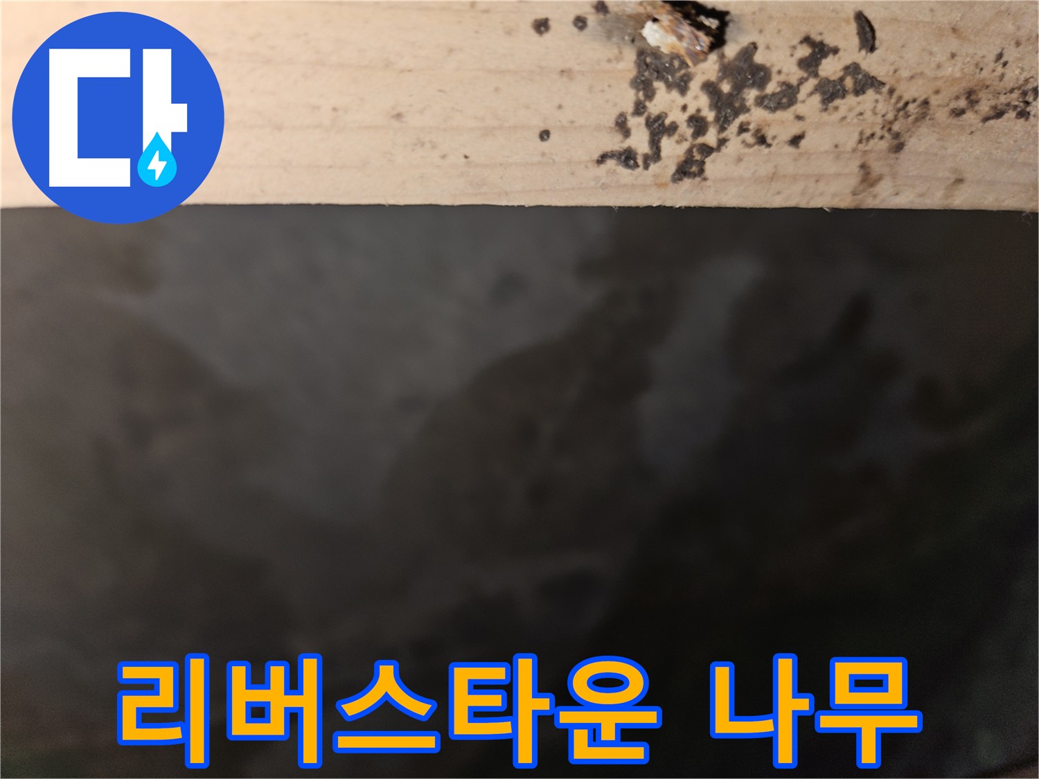 천호동 리버스타운 누수 - 나무 속 검은 점 - 조치 필요