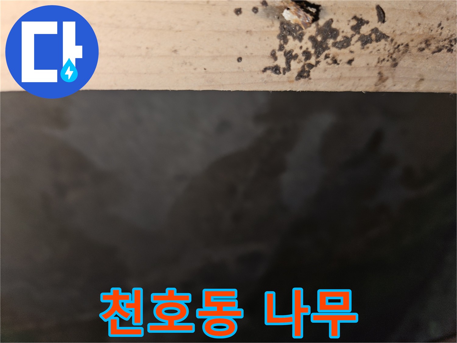 천호동 아파트 누수 - 나무 테두리 곰팡이 - 조기
