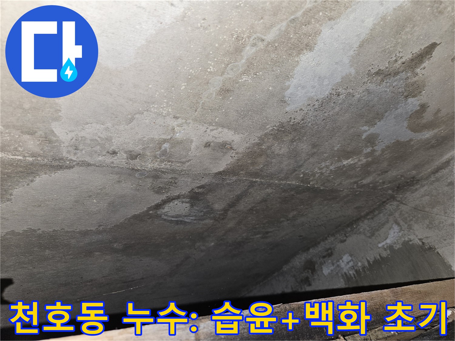 천호동 아파트 콘크리트 누수 - 광범위한 습윤과 백화 초기 증상