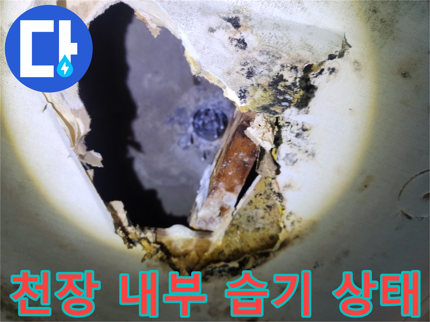 배관 주변의 젖은 마감재와 곰패로 오염된 천장 내부