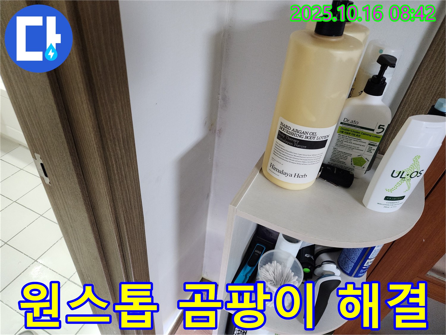 양주 남면 경신리 욕실 곰팡이 - 누수 원인부터 곰팡이 제거까지 원스톱 해결, 꼼꼼 시공!